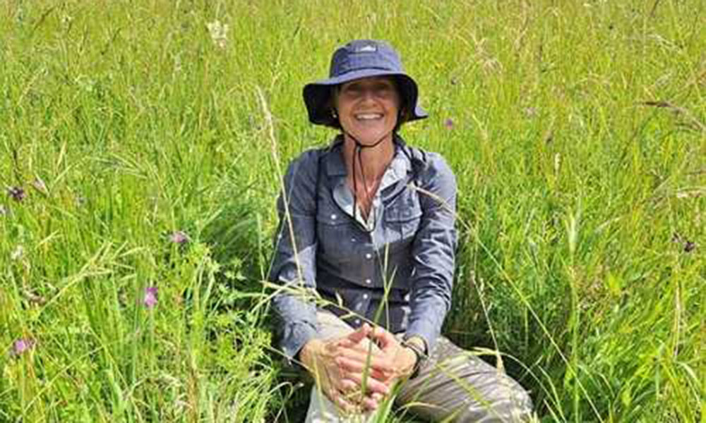 2017 Awards by the Botanical Education Trust