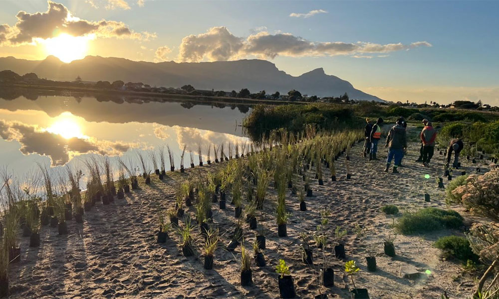 2022 Awards by the Botanical Education Trust