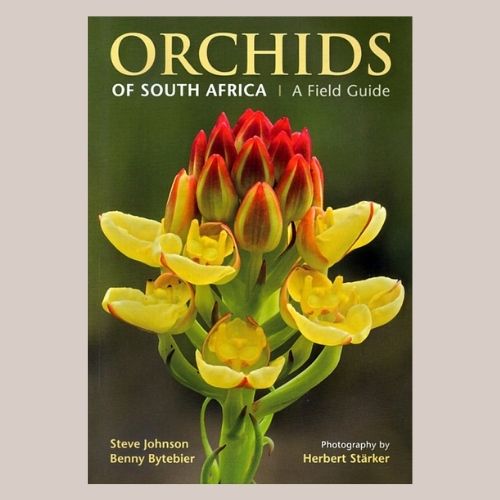 Steve Johnson and Benny Bytebier